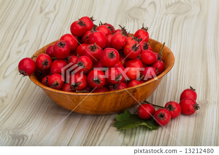 Hawthorn 13212480