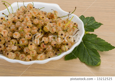 White currant White currant 13212525