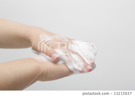 手洗 13215037