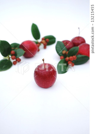 公主和聖誕霍利 13215455