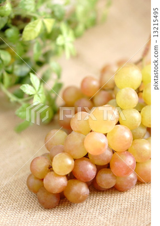 Suites King Muscat Seedless 13215495