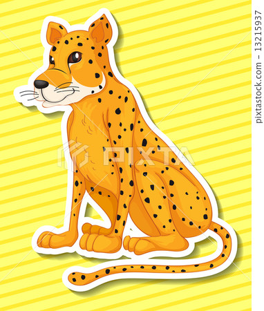 Leopard Leopard 13215937