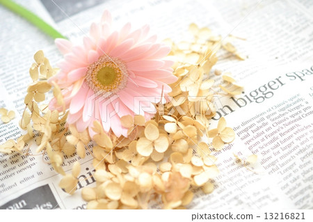 Annelle dry flower and gerbera Annelle dry flower and gerbera 13216821
