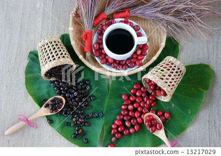 Harmony concept, coffee bean, black roasted cafe Harmony concept, coffee bean, black roasted cafe 13217029