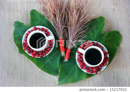 Harmony concept, coffee bean,  black roasted cafe 13217032