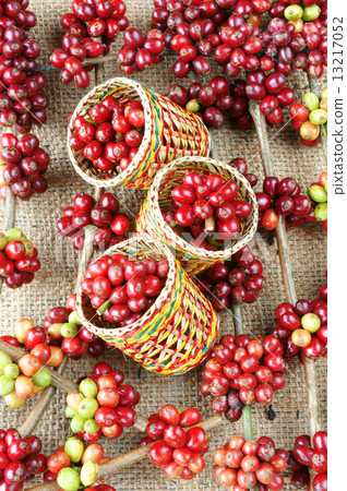 red fresh coffee bean 13217052