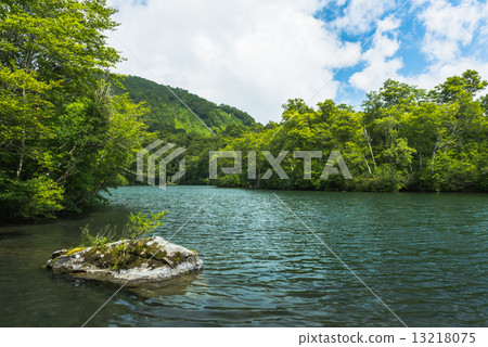 Kamoi池塘 13218075