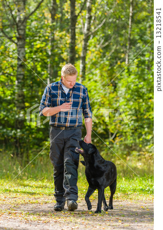 Train to heel Train to heel 13218541