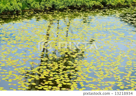 Ozekahara · Ungraised and Satan's beauty of Terrane 13218934