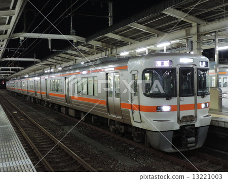 JR Tokai 313 series 13221003