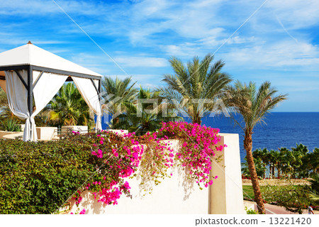 The sea view hut at luxury hotel, Sharm el Sheikh, Egypt 13221420