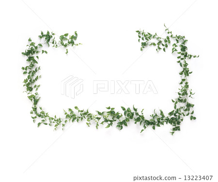  Plant frame 13223407