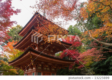 Joruriji三塔和秋葉（近水平位置） 13223899