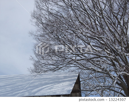 Winter landscape 2 Winter landscape 2 13224307