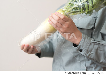 Radish and producers 13225513