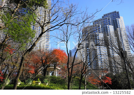 December Landscapes and streets of the city 618 Autumn leaves of Shinjuku Central Park 13225582