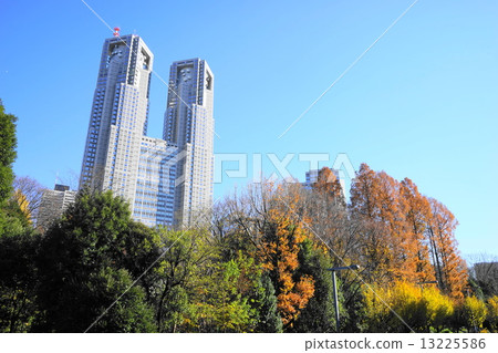 December Landscape and cityscape of the city 622 Autumn leaves of Shinjuku Central Park 13225586