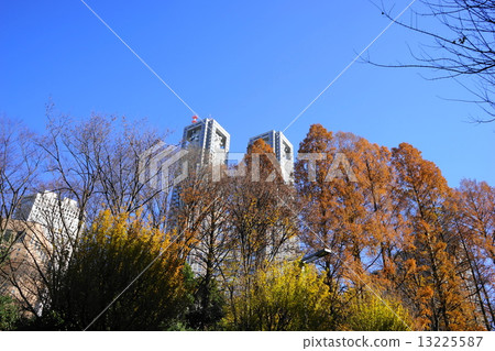December Landscape of the city · cityscape 623 Autumn leaves of Shinjuku Central Park 13225587