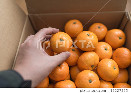 Mandarin orange 13227325