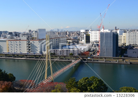 Seagull bridge 5 13228306