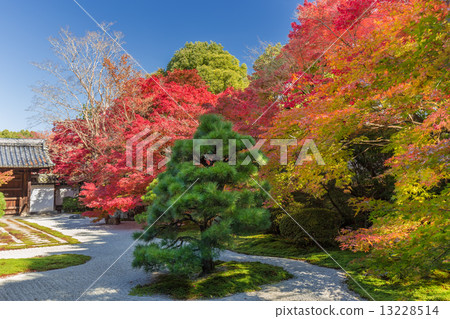 Tengui-an在秋天 13228514