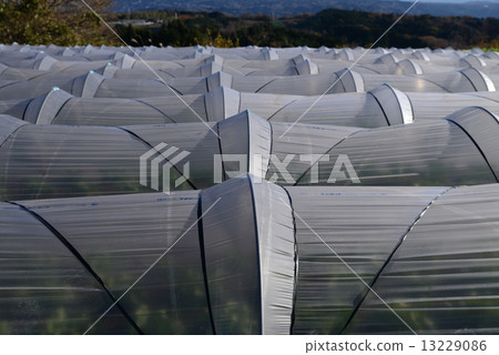 vinyl house vinyl house 13229086