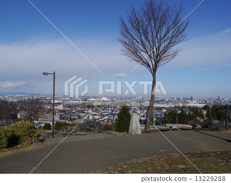 Yuhi's view of the hill (Tokyo Metropolitan Sakuragaoka Park) 13229288