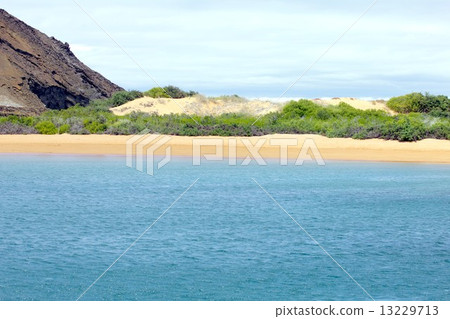 生物進化理論群島漂浮在太平洋島嶼加拉巴哥群島,美麗的沙灘和巴托拉島海灣的海洋風光 生物進化理論群島漂浮在太平洋島嶼加拉巴哥群島,美麗的沙灘和巴托拉島海灣的海洋風光 13229713
