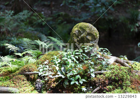 Warabori Jizo - Ohara Sanzenjin Warabori Jizo - Ohara Sanzenjin 13229843