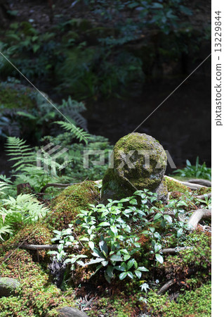 Warabori Jizo - Ohara Sanzenjin Warabori Jizo - Ohara Sanzenjin 13229844