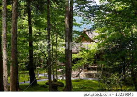 Ohara Sanzenin Odyssey Gakushuin Ohara Sanzenin Odyssey Gakushuin 13229845