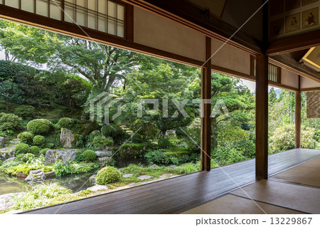 Shokoin 13229867