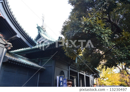 Yushima Shrine的“Amygamon門”（東京都Bunkyo ku Yushima 1-chome） 13230497