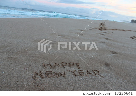 New Year's Cards New Year's Cards 13230641