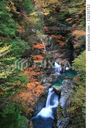 御手洗谷奈良縣天川村 13230752