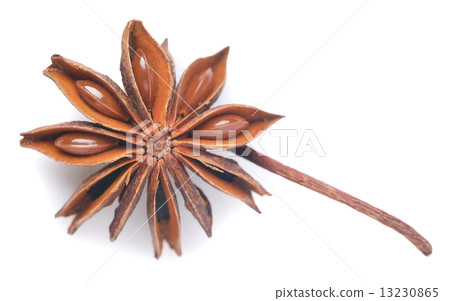Anise on background 13230865