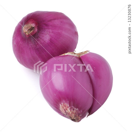 red onion on background red onion on background 13230876