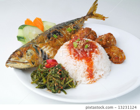 asia food and rice malaysia 13231124