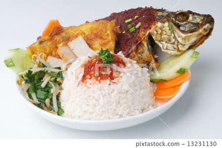 asia food and rice malaysia 13231130