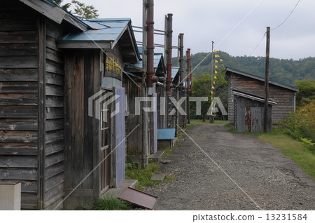 Yellow handkerchief of happiness 13231584