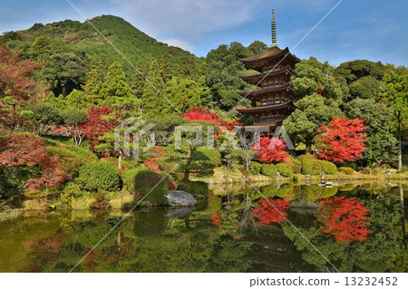 Five-story pagoda of Rurikoji Temple in autumn 13232452
