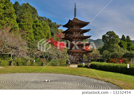 Five-story pagoda of Rurikoji Temple in autumn 13232454