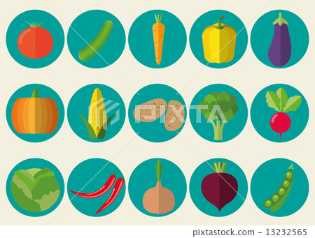 vegetable icon set. The image of vegetables symbol vegetable icon set. The image of vegetables symbol 13232565