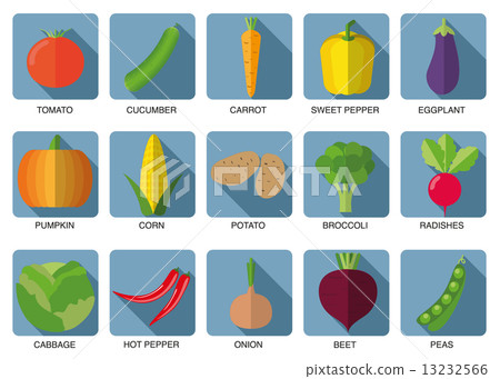 vegetable icon set. The image of vegetables symbol vegetable icon set. The image of vegetables symbol 13232566