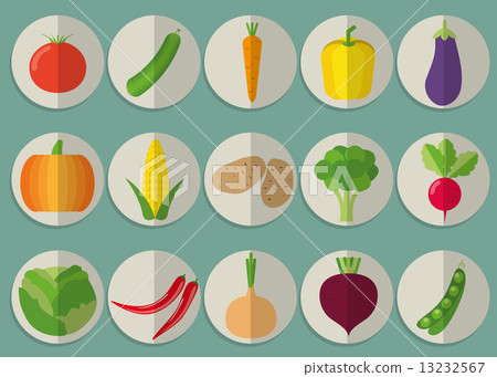 vegetable icon set. The image of vegetables symbol vegetable icon set. The image of vegetables symbol 13232567