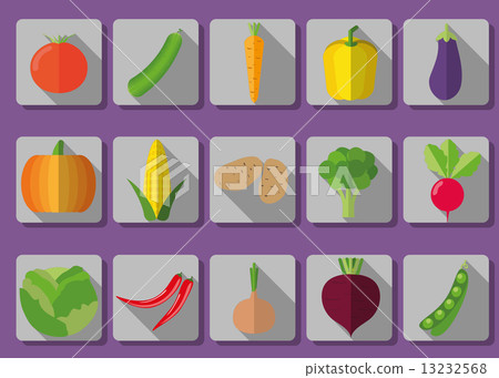 vegetable icon set. The image of vegetables symbol vegetable icon set. The image of vegetables symbol 13232568