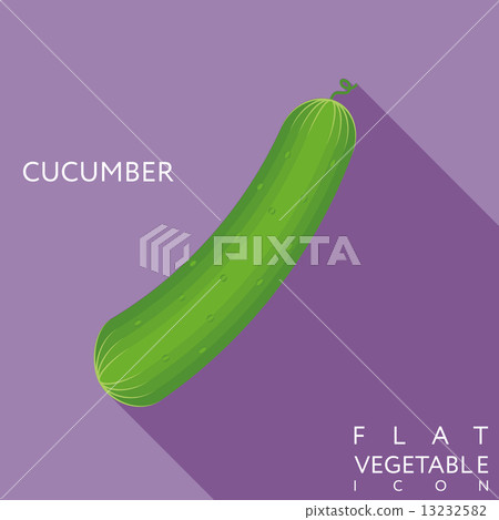 cucumber flat icon illustration with long shadow 13232582