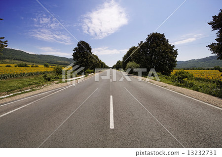 Road 13232731