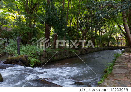 Kamigamo神社 - 御手洗河 13233089