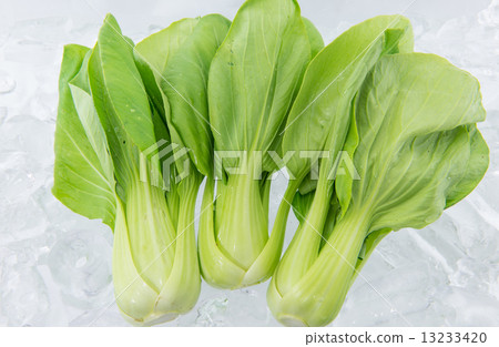 Bok Choy on ice 13233420